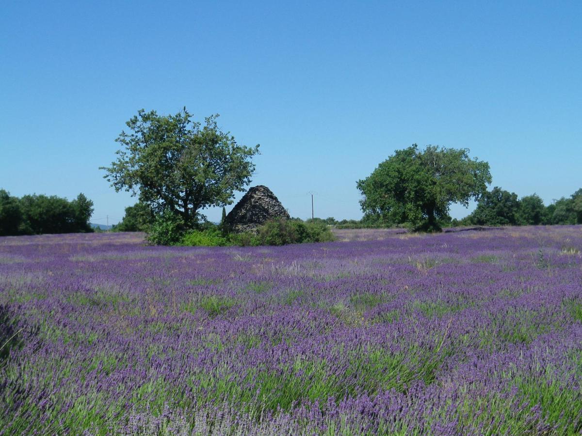 La Mordoree La Motte-d'Aigues Luaran gambar