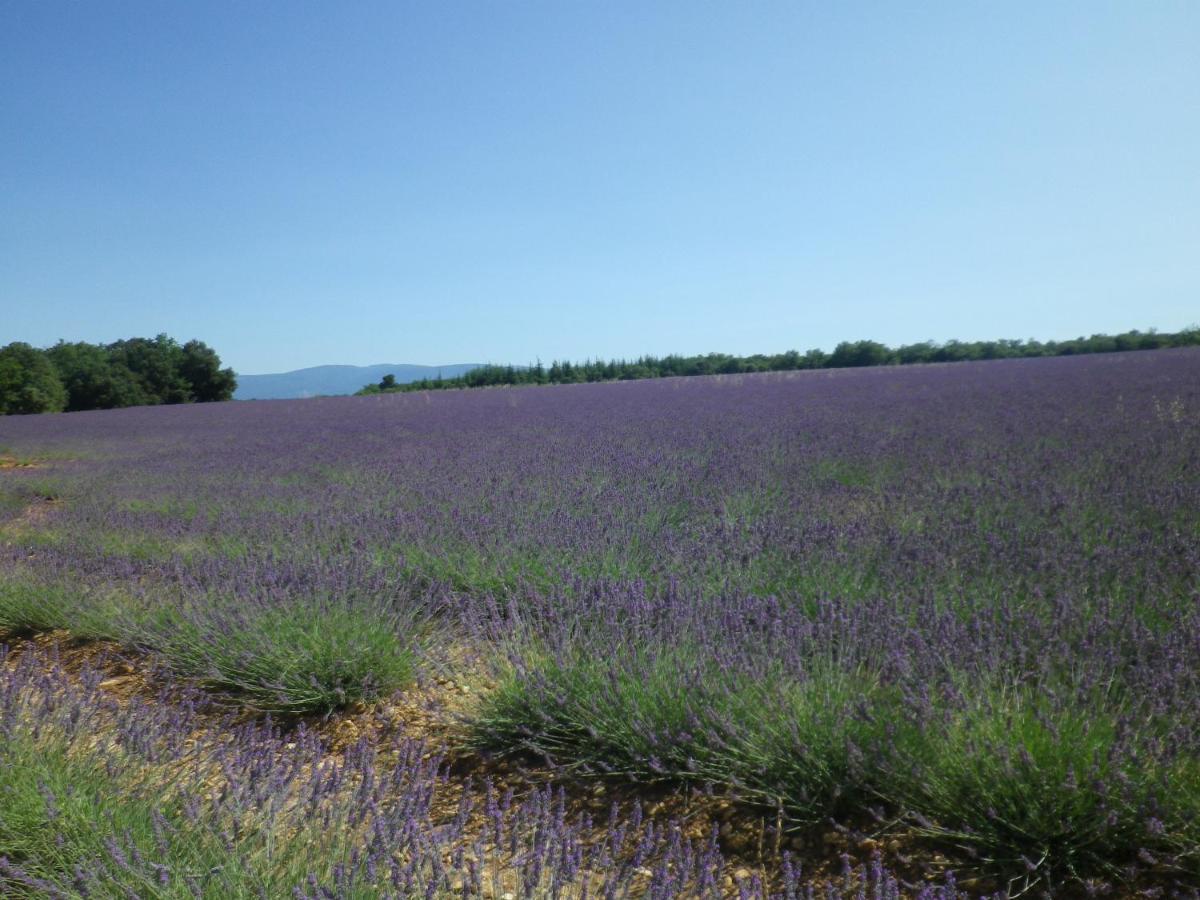La Mordoree La Motte-d'Aigues Luaran gambar